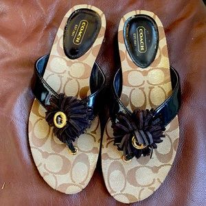 COACH women sandals|Size: 7